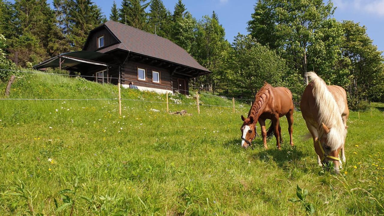 Vila Panorama Ranc Jezici Exteriér fotografie