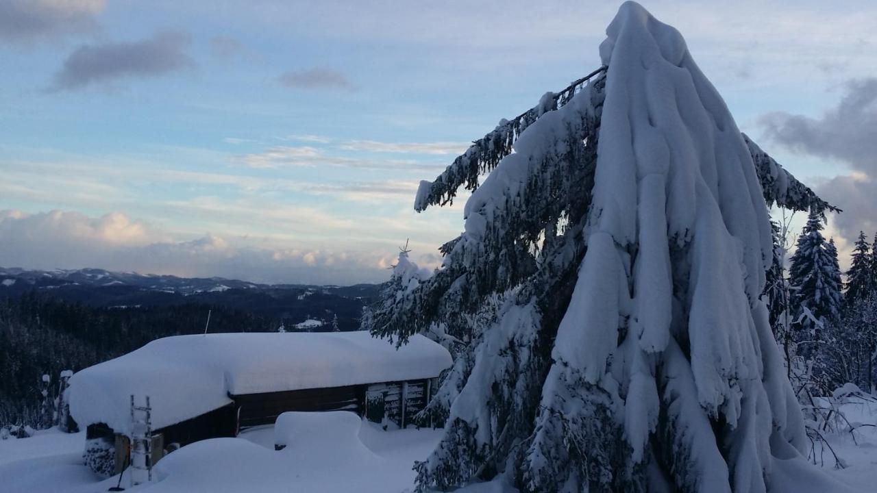 Vila Panorama Ranc Jezici Exteriér fotografie